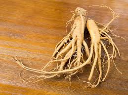 Panax Ginseng